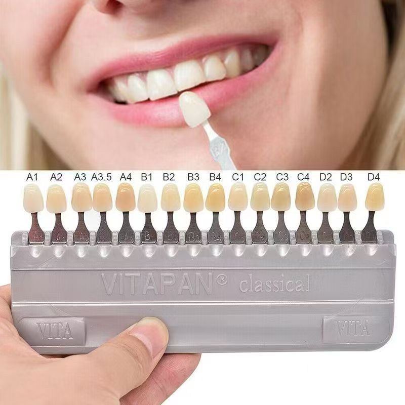 VITA 16 Colors Teeth Shade Gui - Teeth Whitening Professional 评论和价格
