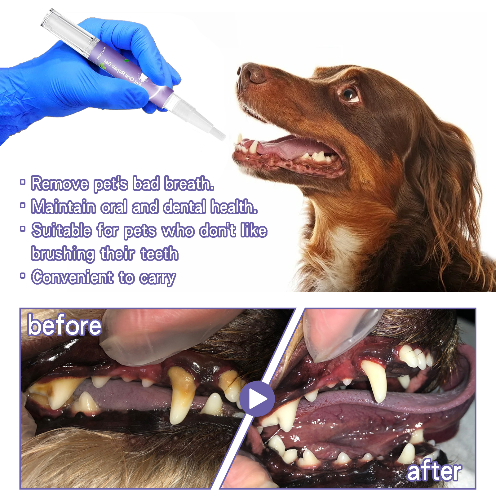 Pet Dental Care Gel 3ml Teeth  - Teeth Whitening Baking Soda 评论和价格