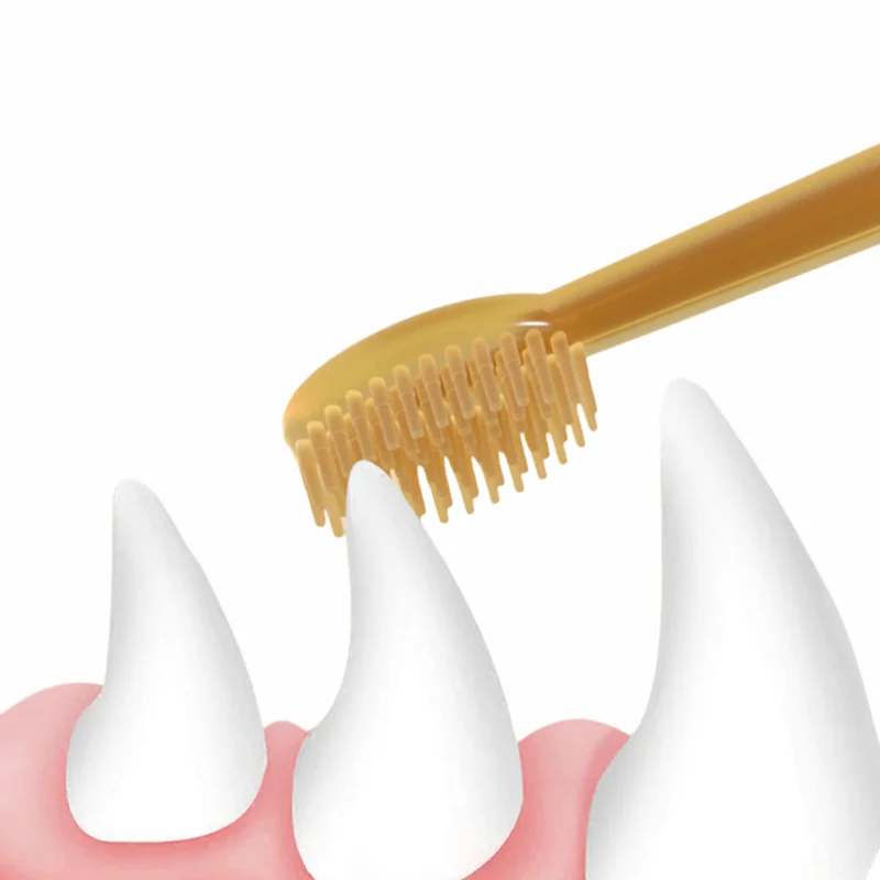 Pet Teeth Whitening Kit - Dual - Teeth Whitening Paste 评论和价格