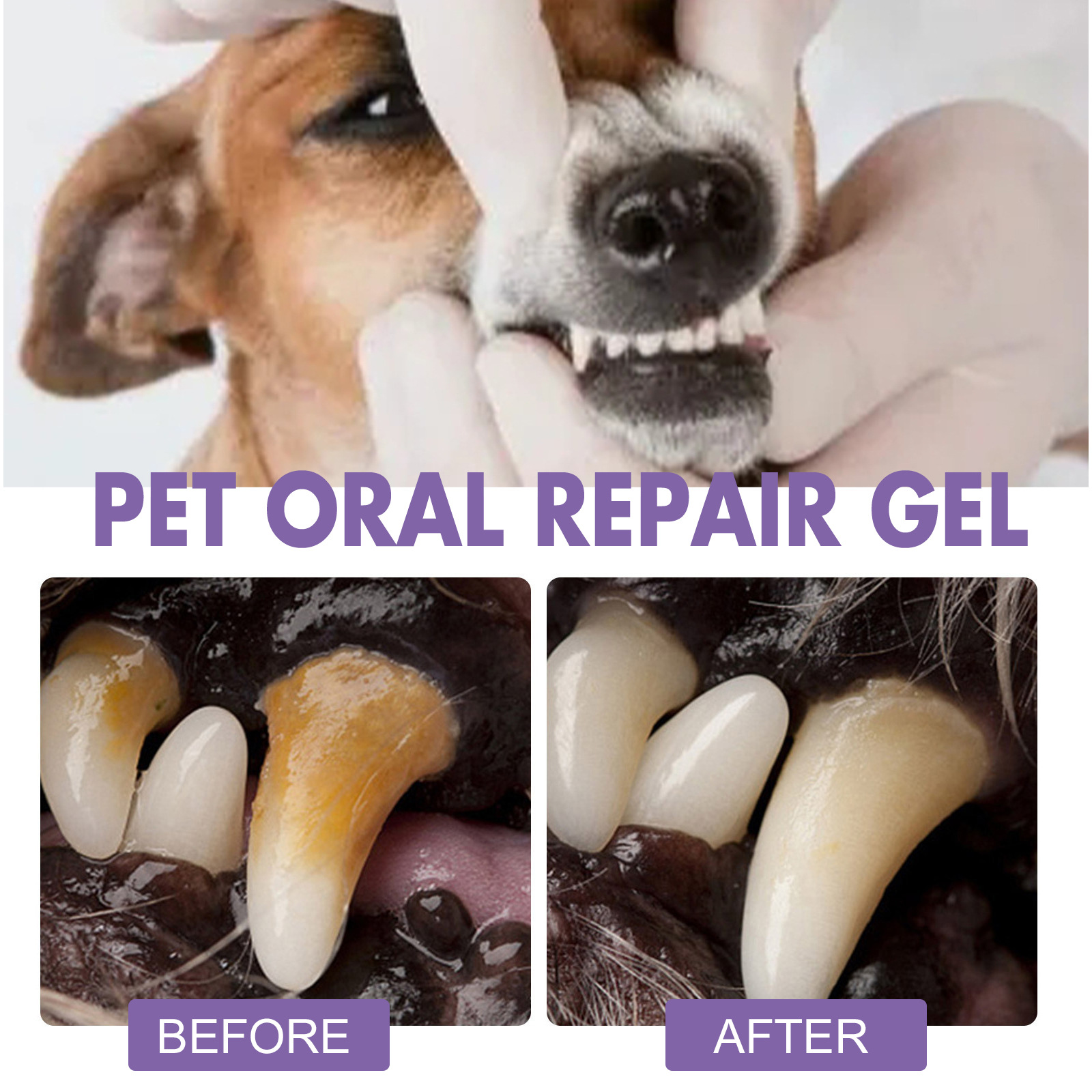 Pet Oral Repair Gel Puppy Tart - Teeth Whitening Q&M 评论和价格