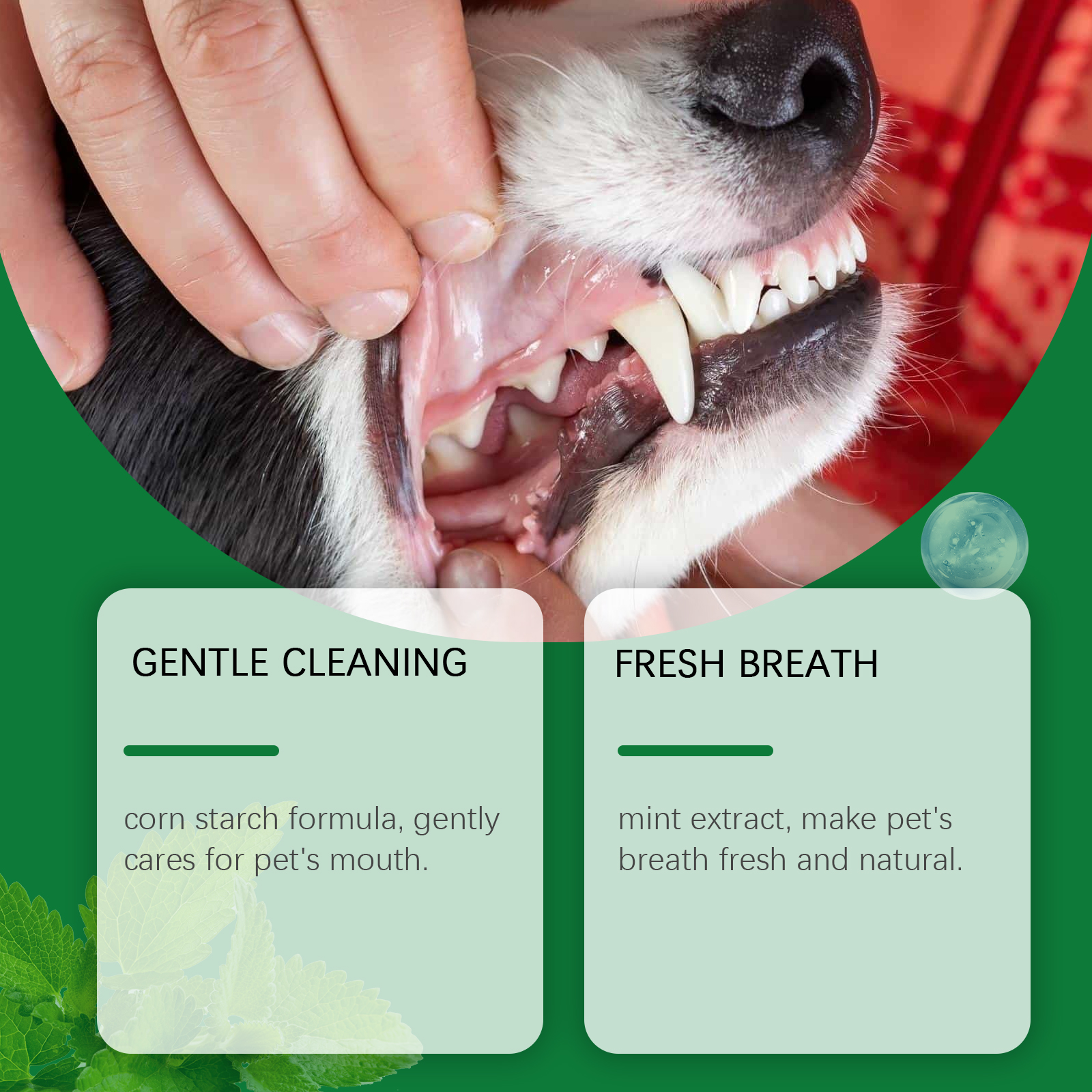 Pet Teeth Cleaning Powder Redu - Teeth Whitening Q&M 评论和价格
