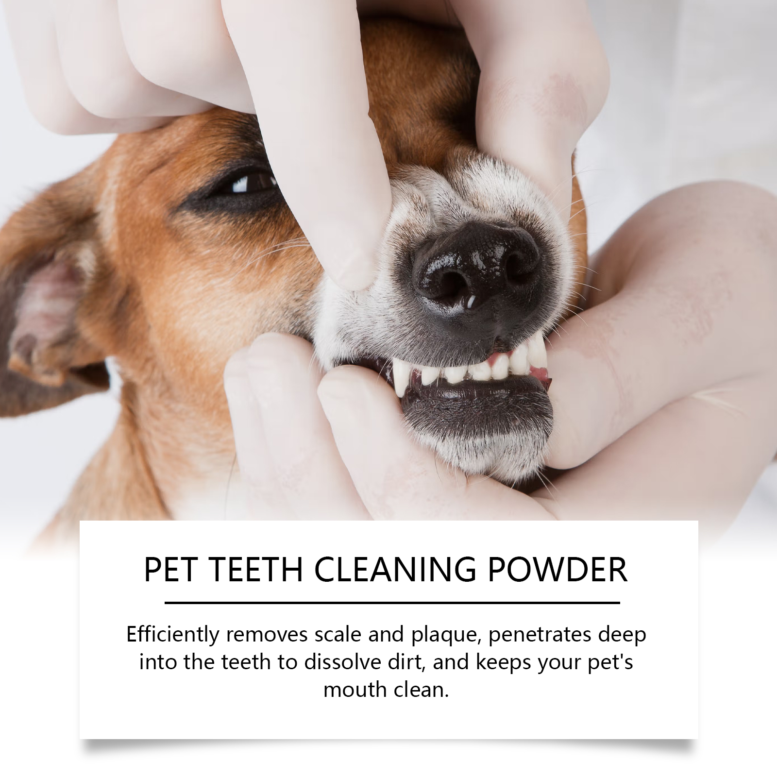 Pet Teeth Cleaning Powder Redu - Teeth Whitening Q&M 评论和价格